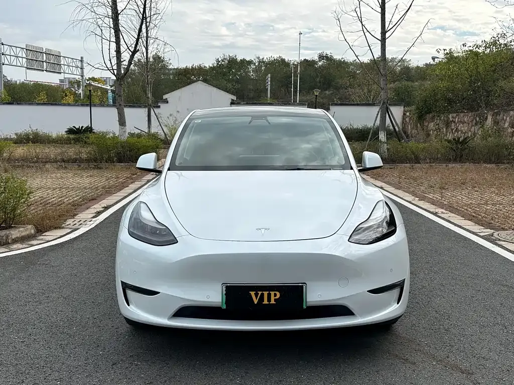 Tesla Model Y 2021 из CN, фото 2