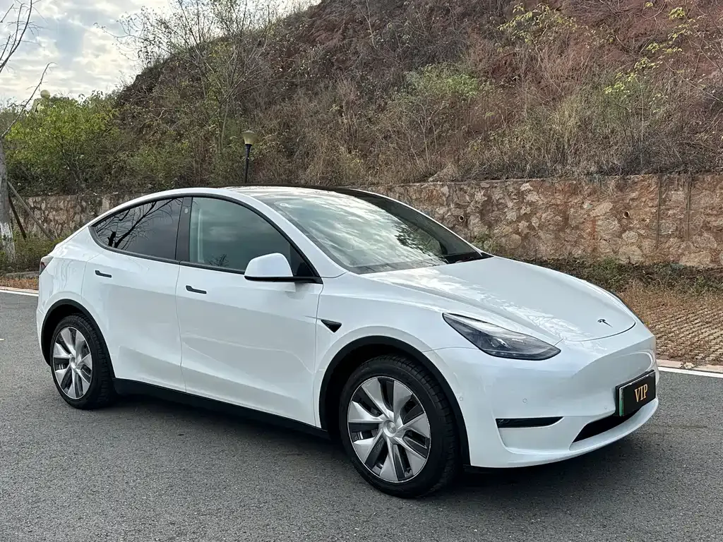 Tesla Model Y 2021 из CN, фото 3