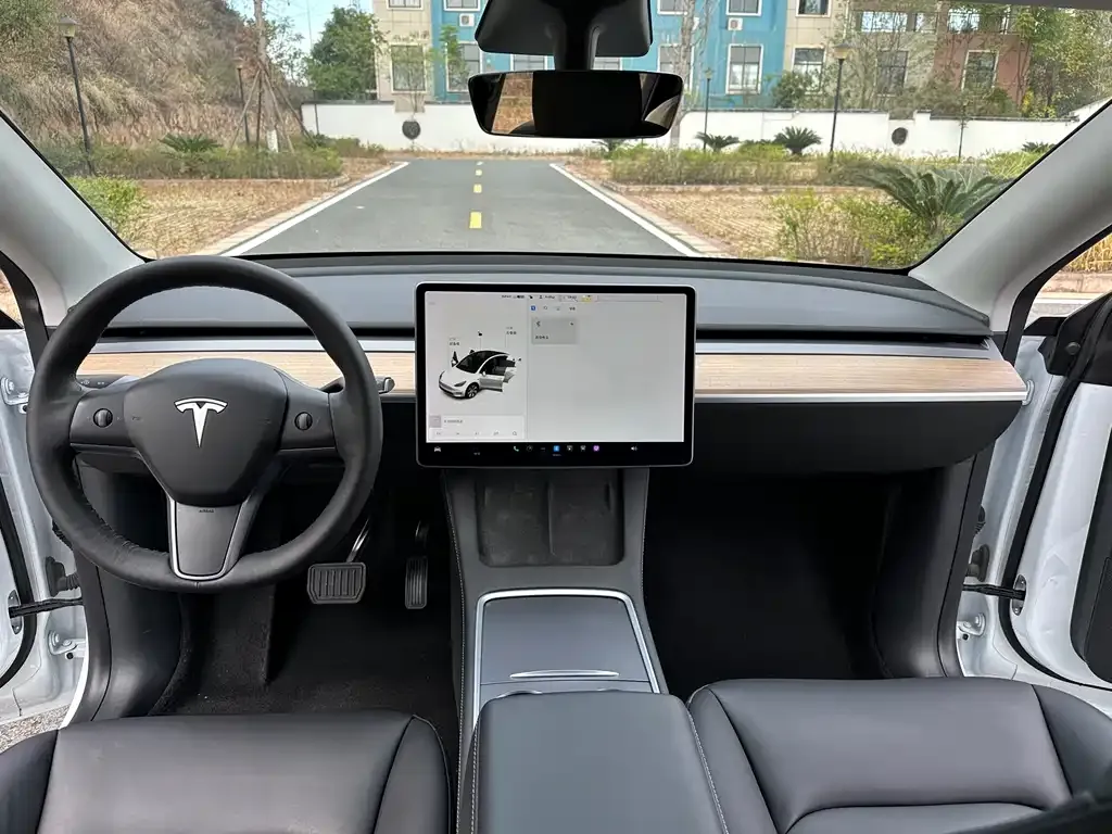 Tesla Model Y 2021 из CN, фото 4
