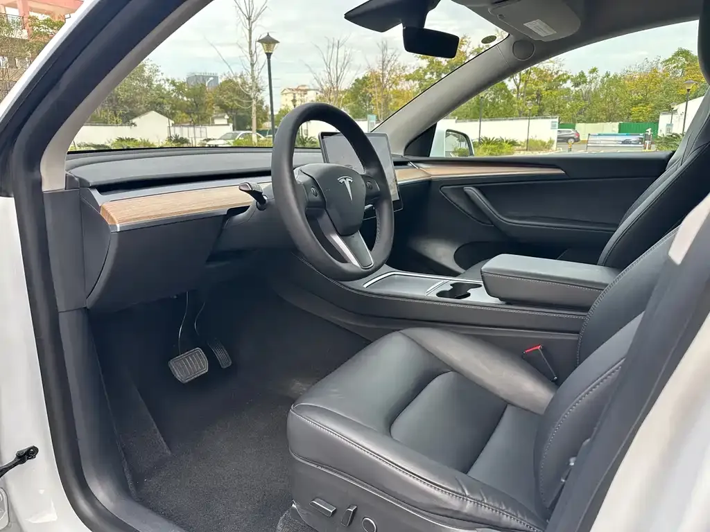 Tesla Model Y 2021 из CN, фото 5