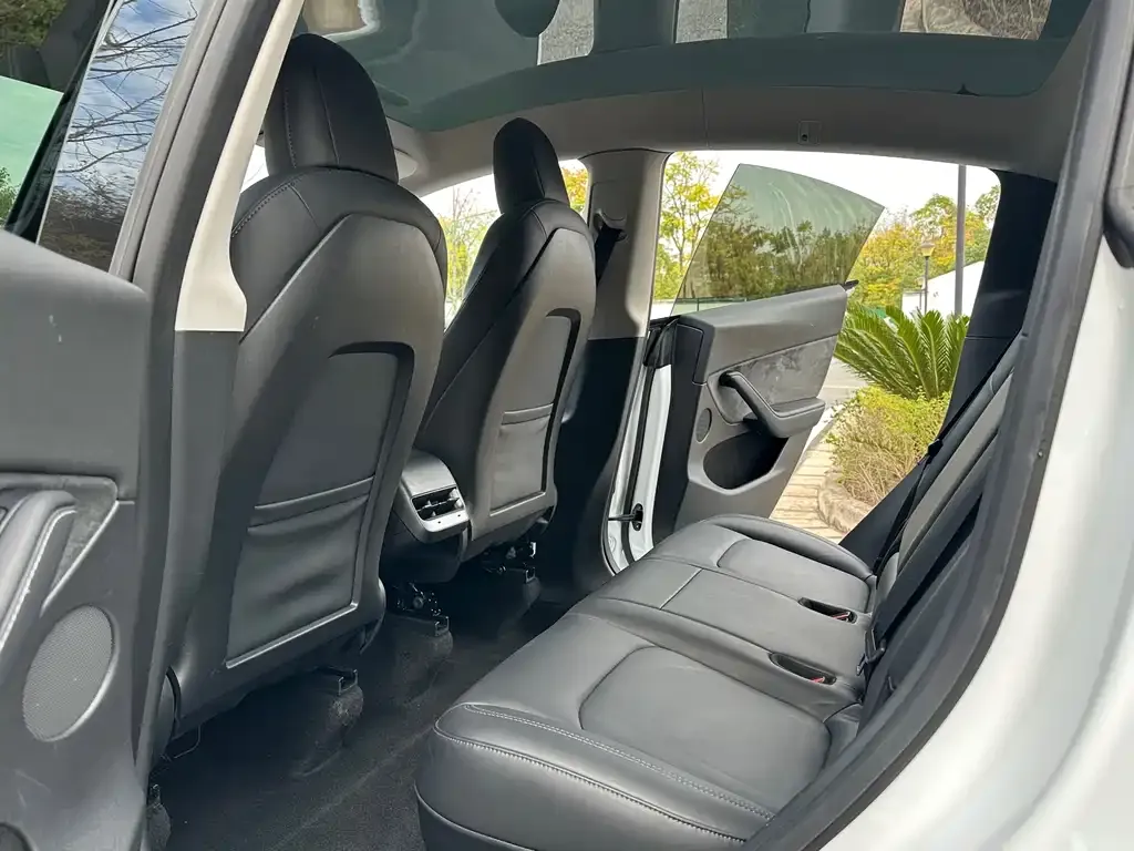 Tesla Model Y 2021 из CN, фото 6