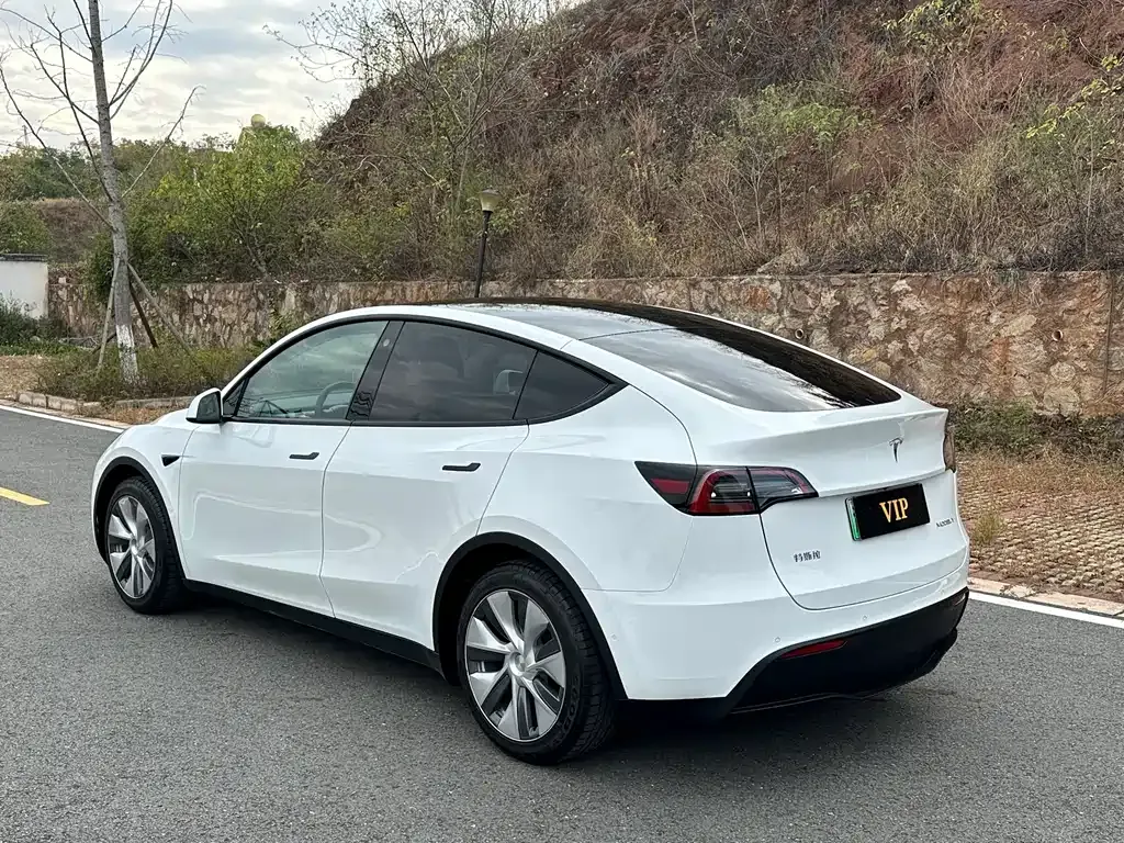 Tesla Model Y 2021 из CN, фото 7