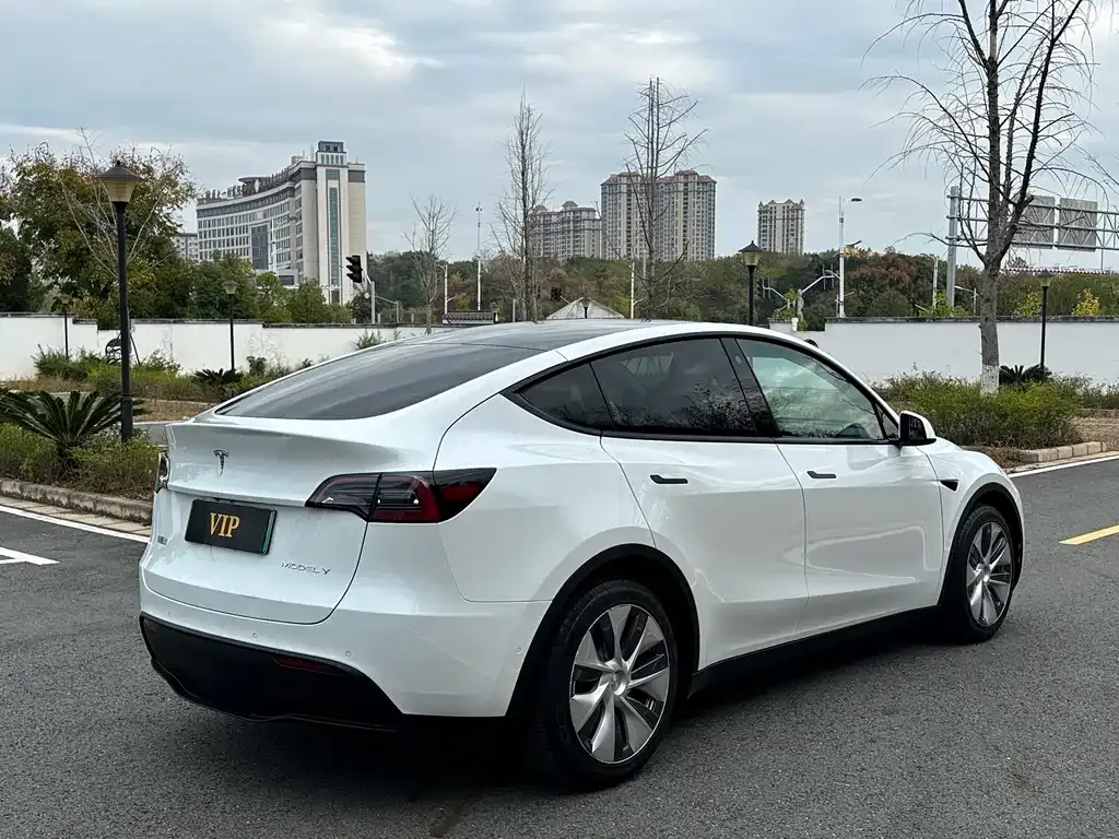 Tesla Model Y 2021 из CN, фото 8