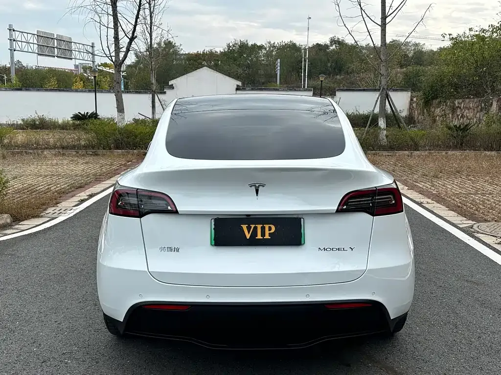 Tesla Model Y 2021 из CN, фото 9