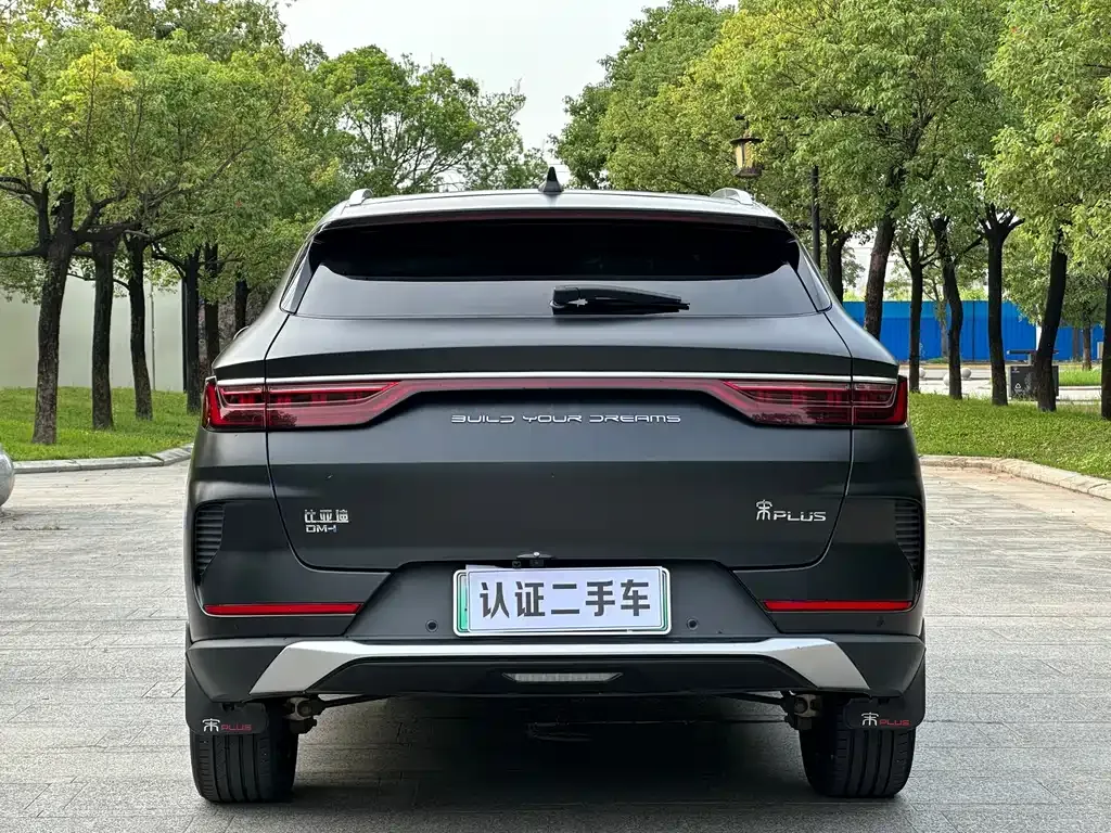 BYD PLUS New Energy 2022 из CN, фото 10