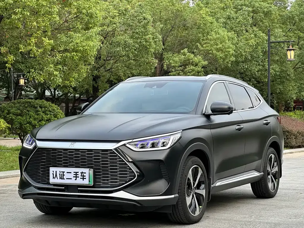 BYD PLUS New Energy 2022 из CN, фото 3