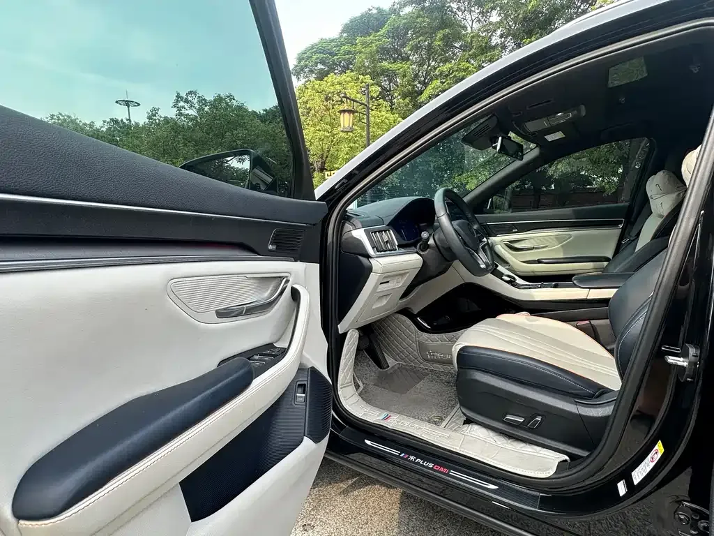 BYD PLUS New Energy 2022 из CN, фото 6