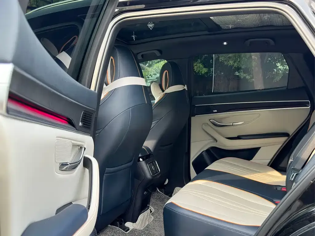 BYD PLUS New Energy 2022 из CN, фото 7