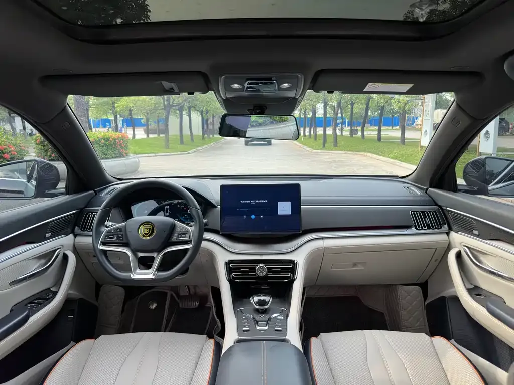 BYD PLUS New Energy 2022 из CN, фото 8