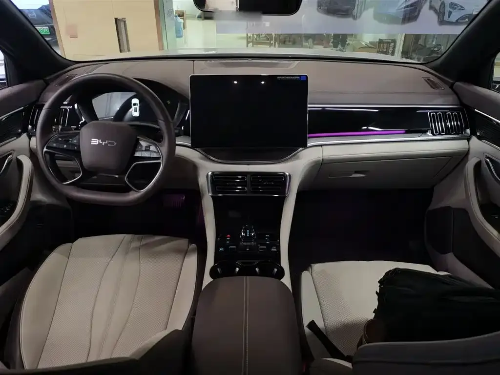 BYD PLUS New Energy 2025 из CN, фото 10
