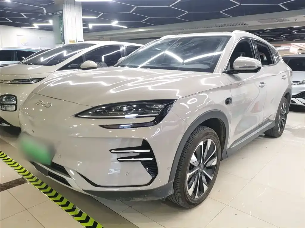 BYD PLUS New Energy 2025 из CN, фото 2