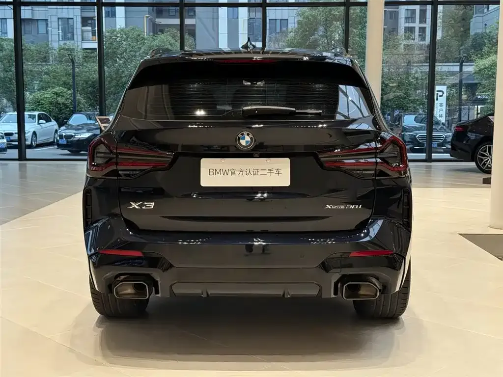 BMW X3 2024 из CN, фото 9