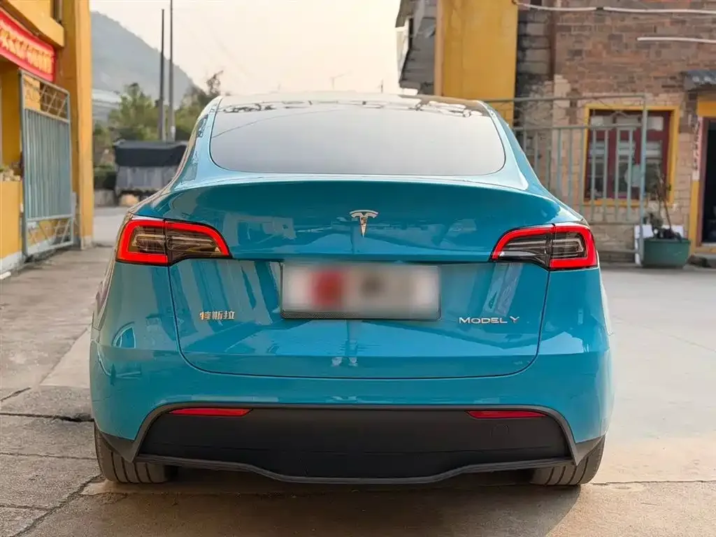 Tesla Model Y 2024 из CN, фото 5