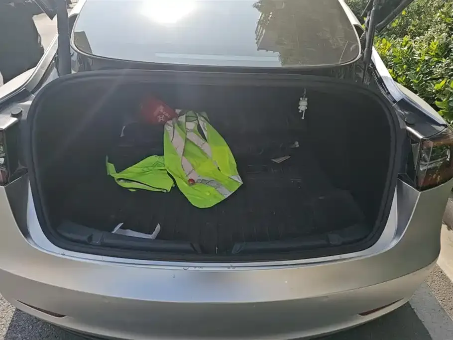 Tesla Model 3 2023 из CN, фото 4