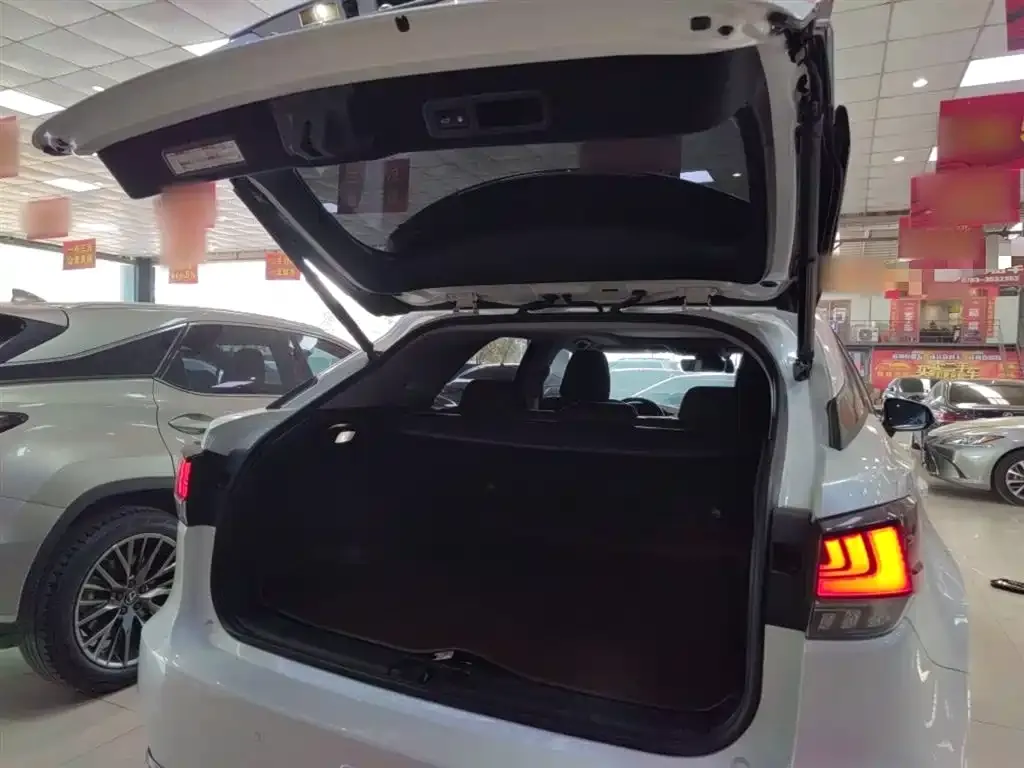 Lexus RX 2022 из CN, фото 10