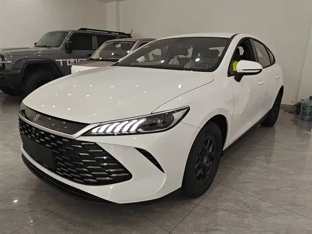 BYD Qin PLUS 2025 из CN, фото 1