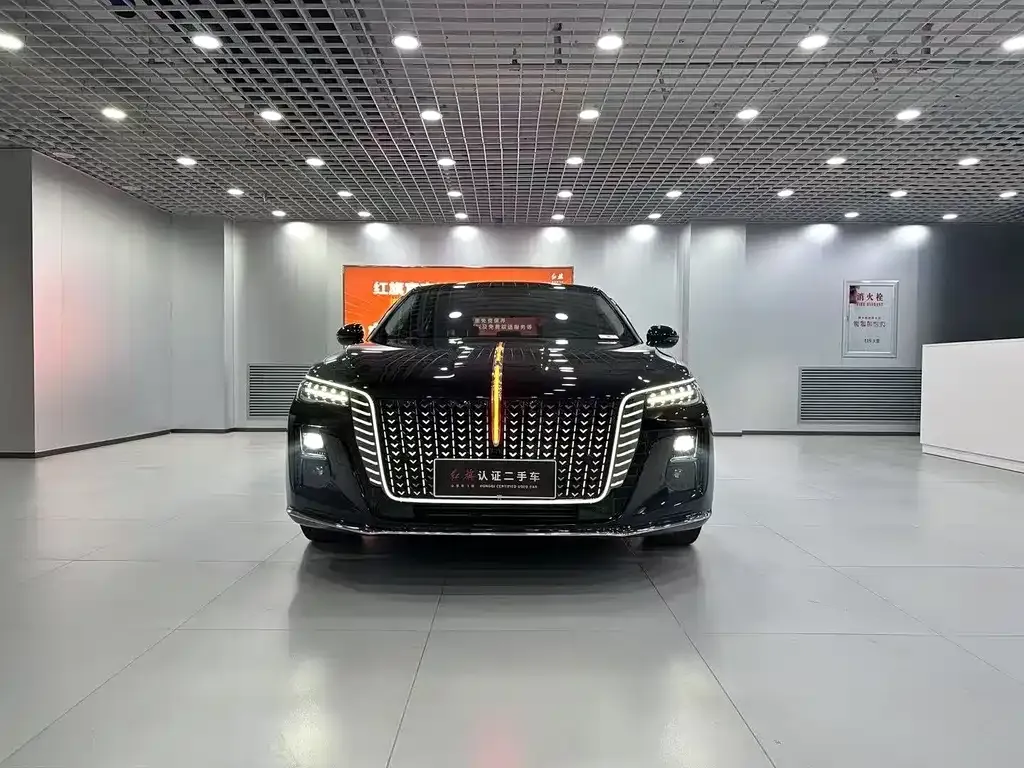 Hongqi H5 2024 из CN, фото 2
