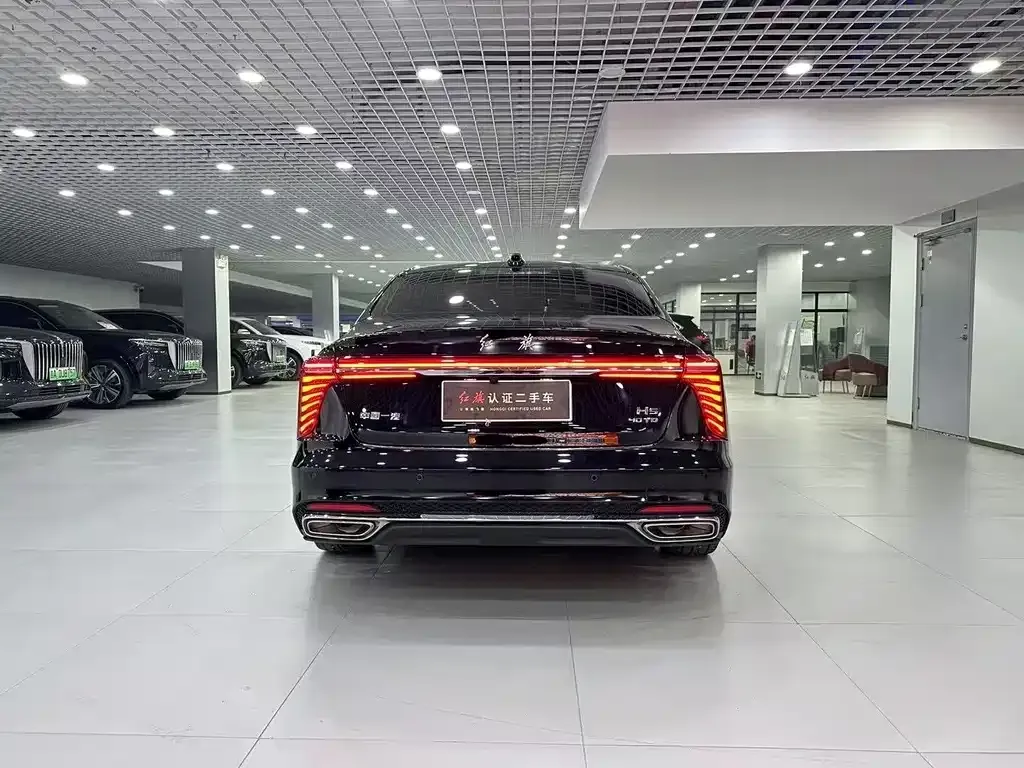 Hongqi H5 2024 из CN, фото 8