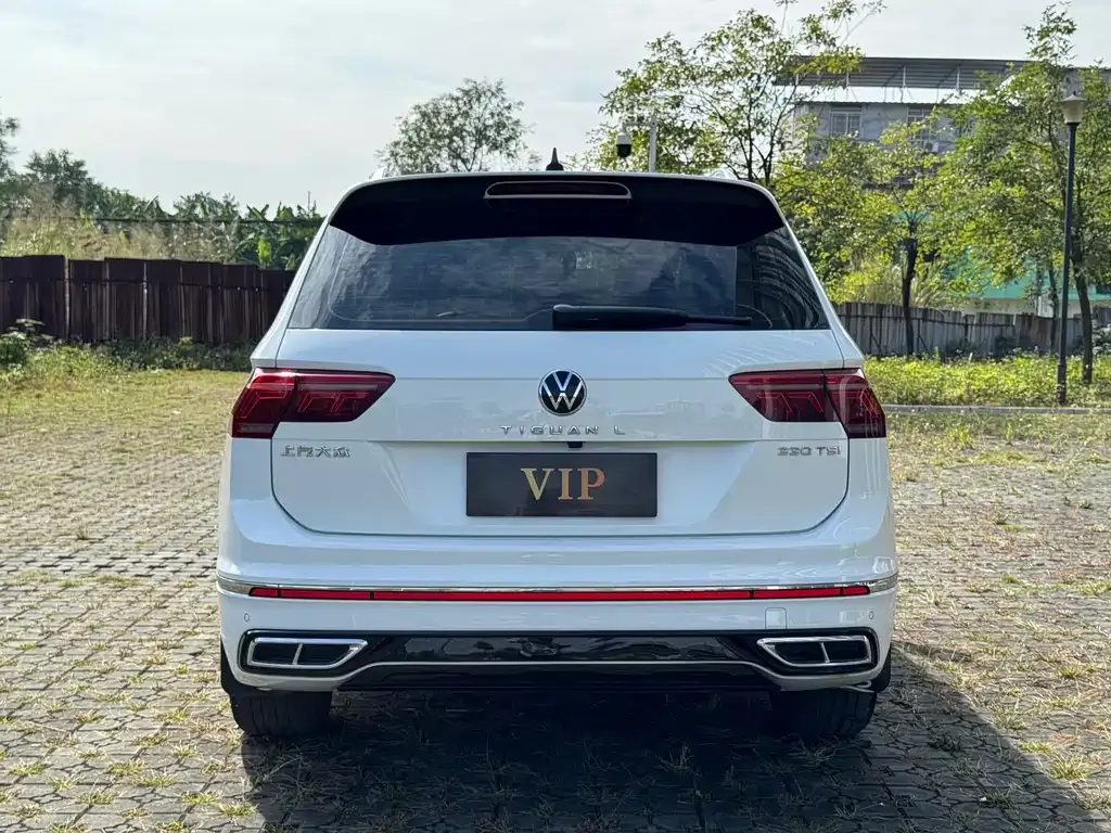 Volkswagen Tiguan L 2023 из CN, фото 5