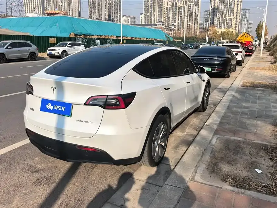 Tesla Model Y 2021 из CN, фото 3