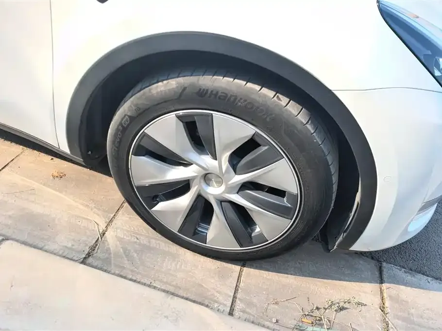 Tesla Model Y 2021 из CN, фото 6