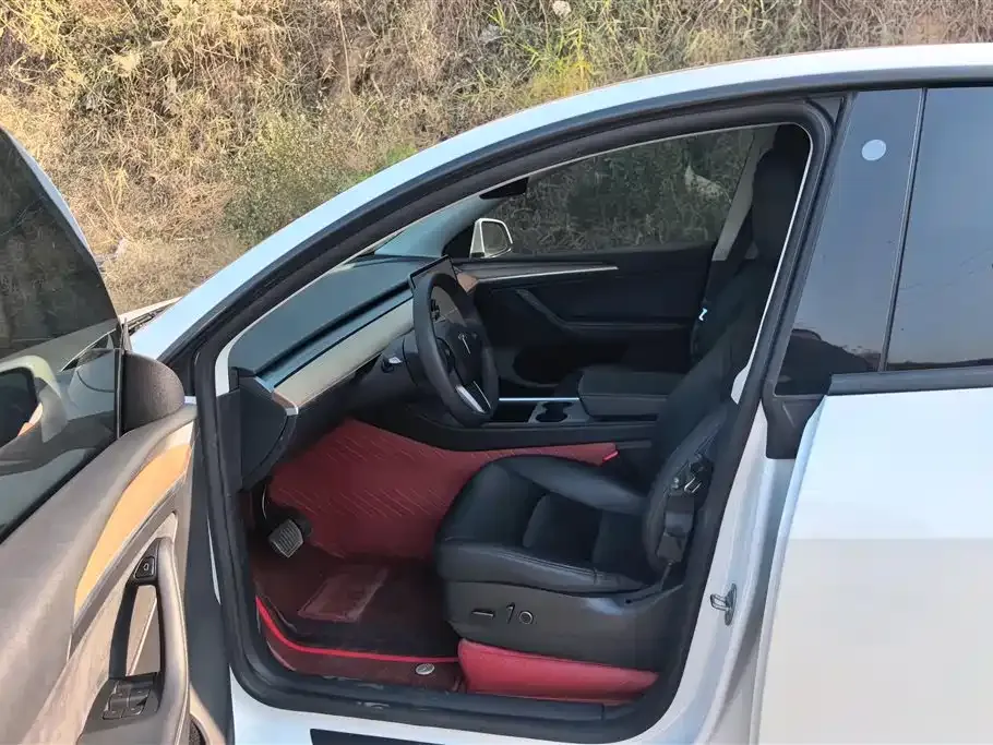 Tesla Model Y 2021 из CN, фото 9