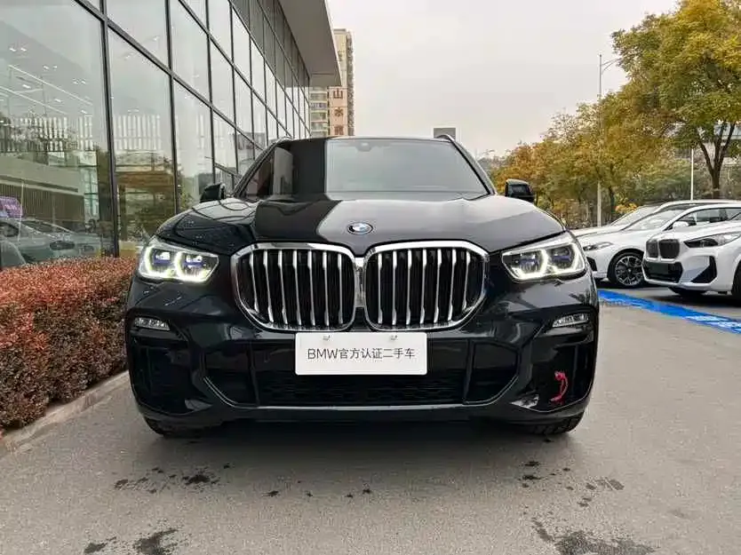 BMW X5 (Import) 2021 из CN, фото 2