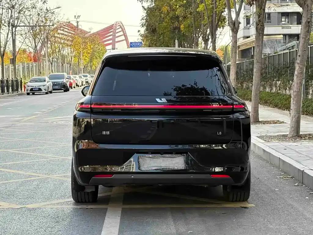 Li Auto L8 2023 из CN, фото 8