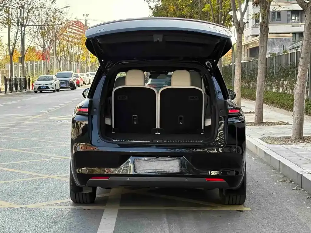 Li Auto L8 2023 из CN, фото 9