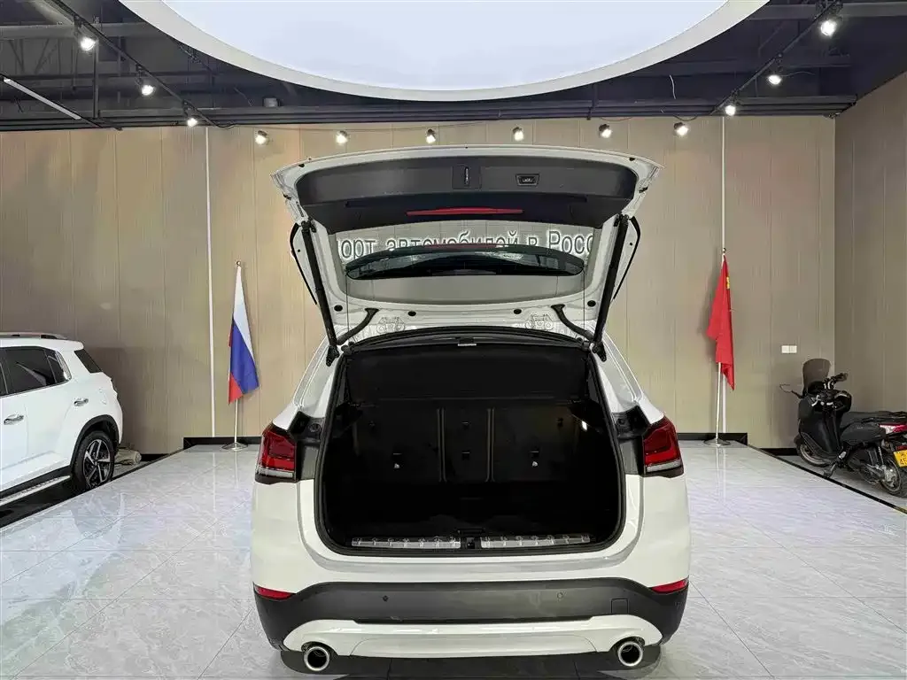 BMW X1 2021 из CN, фото 8