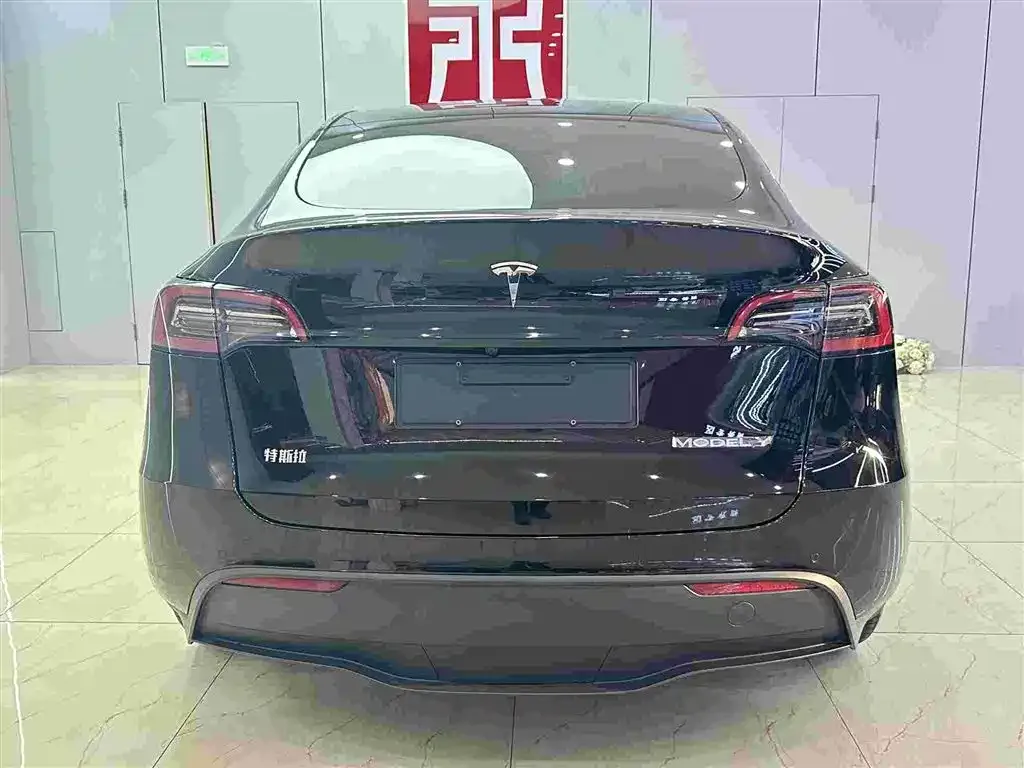 Tesla Model Y 2022 из CN, фото 5