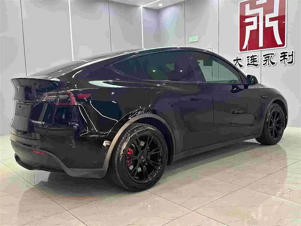 Tesla Model Y 2022 из CN, фото 6