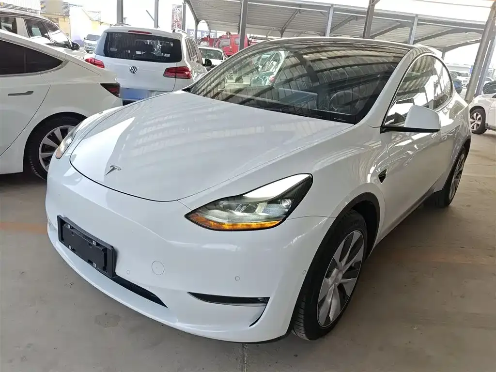 Tesla Model Y 2021 из CN, фото 1