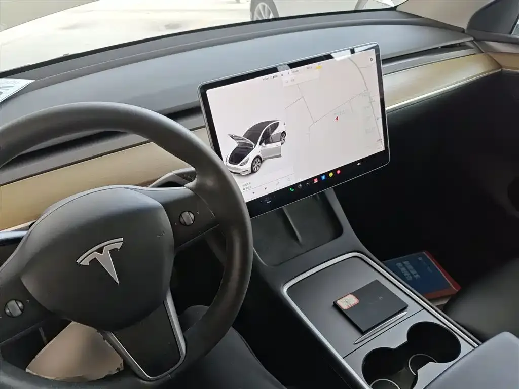 Tesla Model Y 2021 из CN, фото 10
