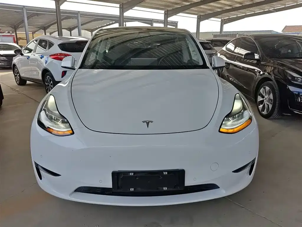 Tesla Model Y 2021 из CN, фото 3