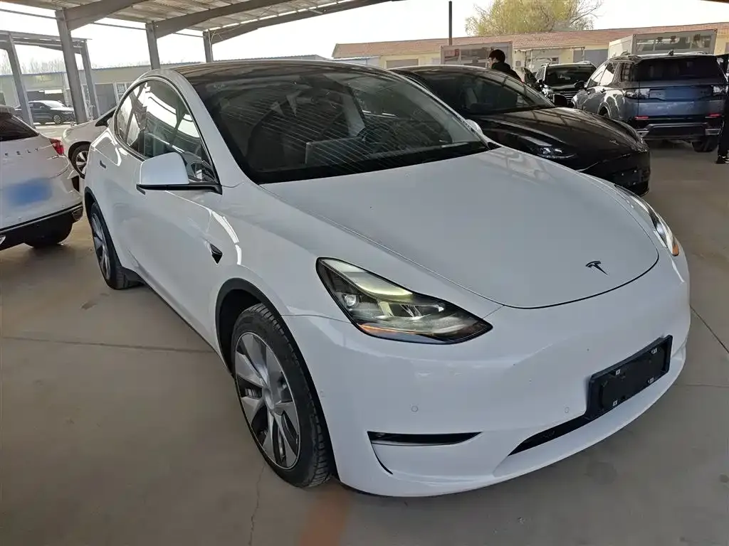 Tesla Model Y 2021 из CN, фото 4