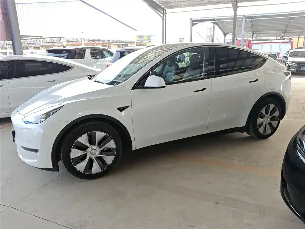 Tesla Model Y 2021 из CN, фото 5