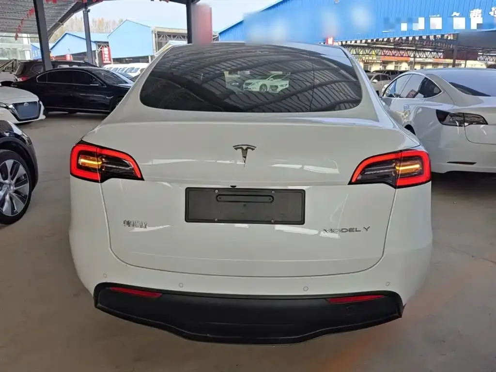 Tesla Model Y 2021 из CN, фото 6