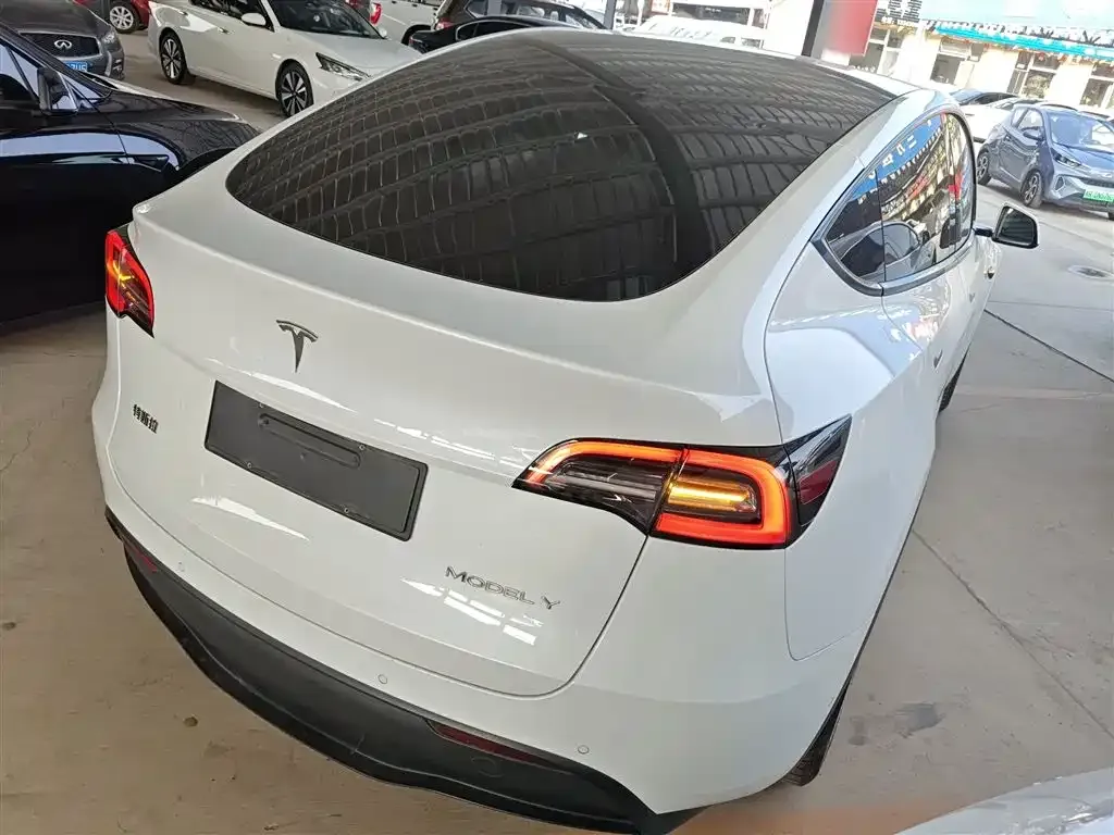 Tesla Model Y 2021 из CN, фото 7