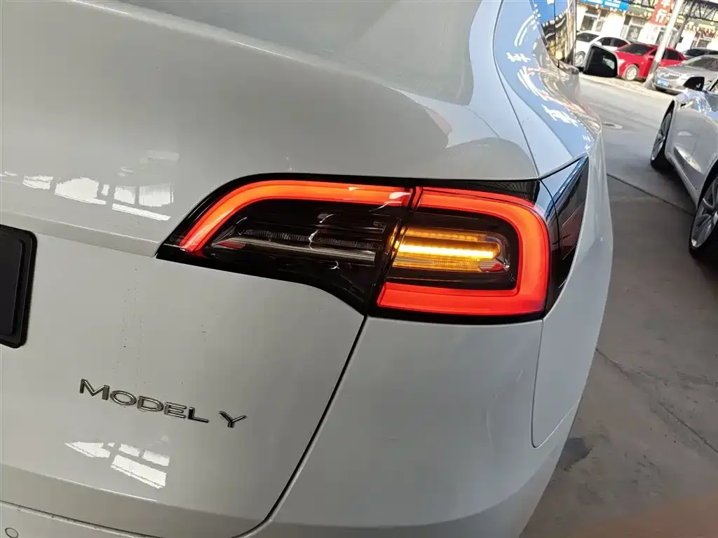 Tesla Model Y 2021 из CN, фото 8