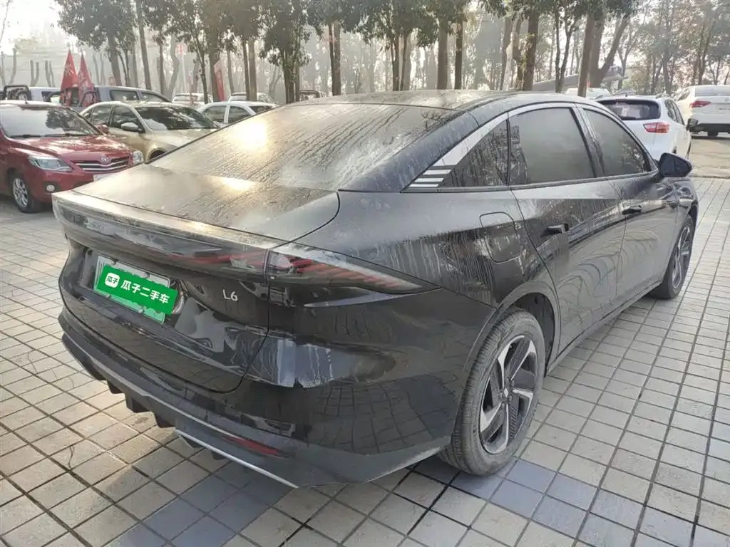 [object Object] Galaxy L6 2024 из CN, фото 7