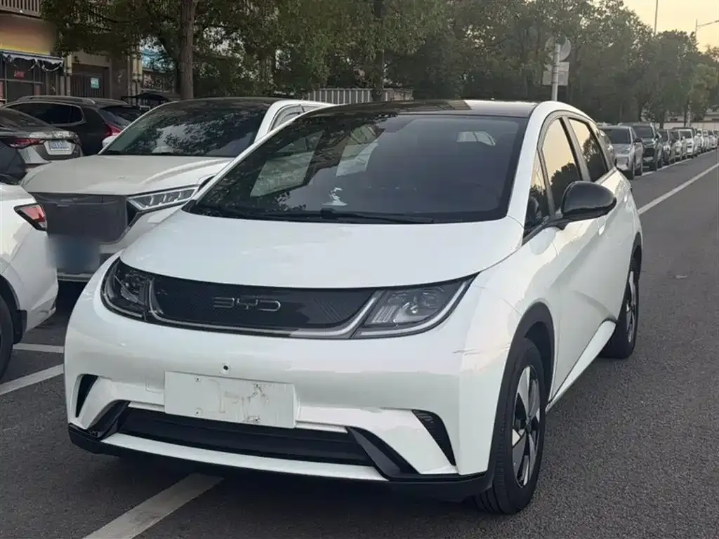 BYD Dolphin 2024 из CN, фото 1