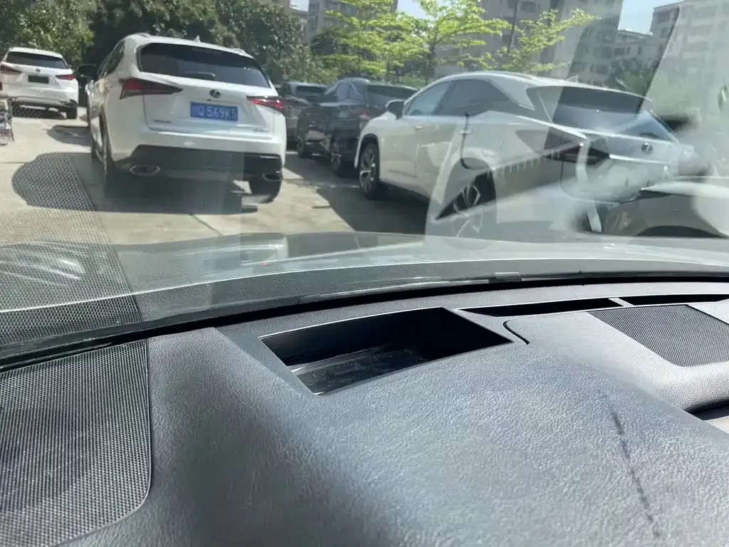 Lexus RX 2021 из CN, фото 10