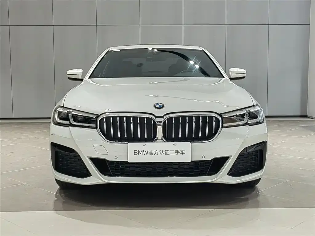 BMW 5 Series 2024 из CN, фото 2
