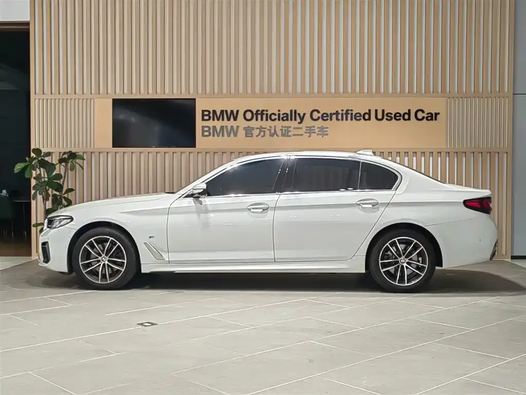 BMW 5 Series 2024 из CN, фото 3