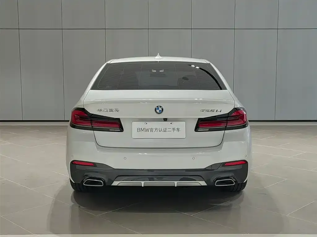 BMW 5 Series 2024 из CN, фото 4