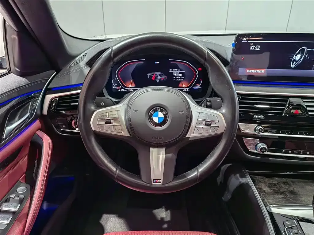 BMW 5 Series 2024 из CN, фото 9