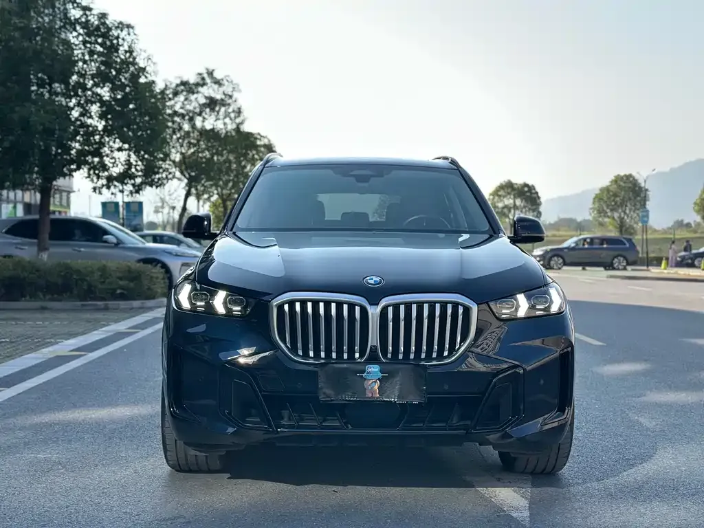 BMW X5 2024 из CN, фото 2