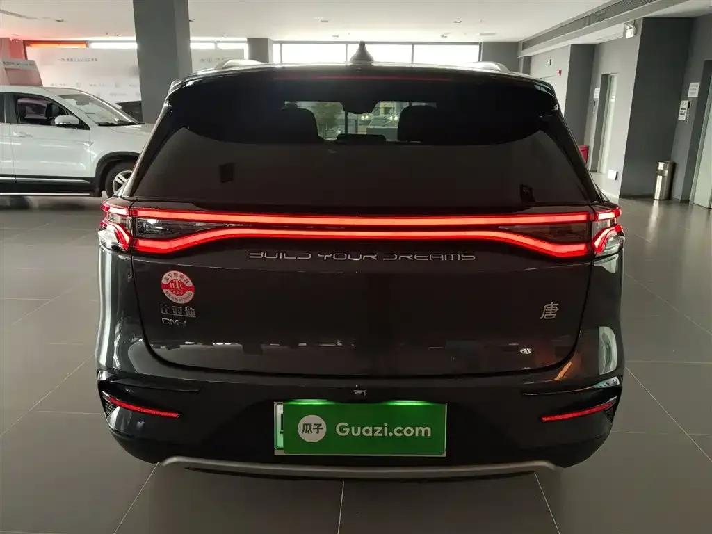 BYD Tang New Energy 2022 из CN, фото 6