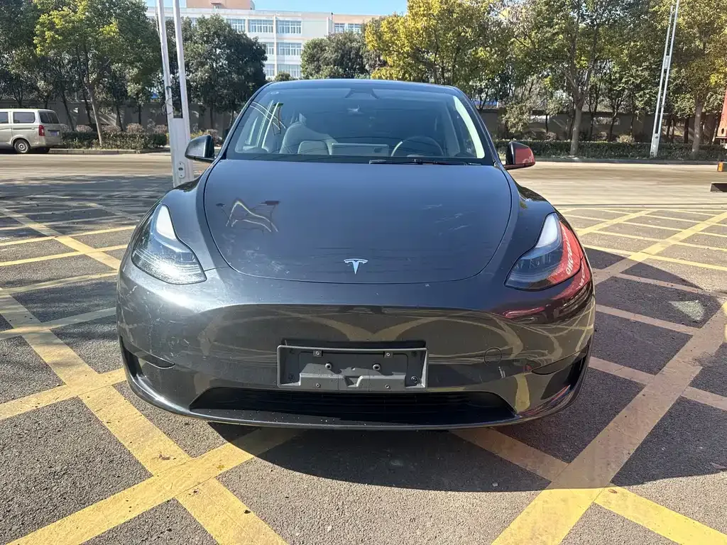 Tesla Model Y 2024 из CN, фото 2